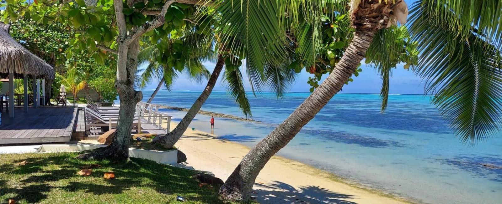 Moorea Island Beach Hotel Екстер'єр фото